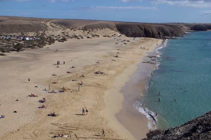 967B32C2-B192-4E71-A4FA-2050A413B376_1_105_c